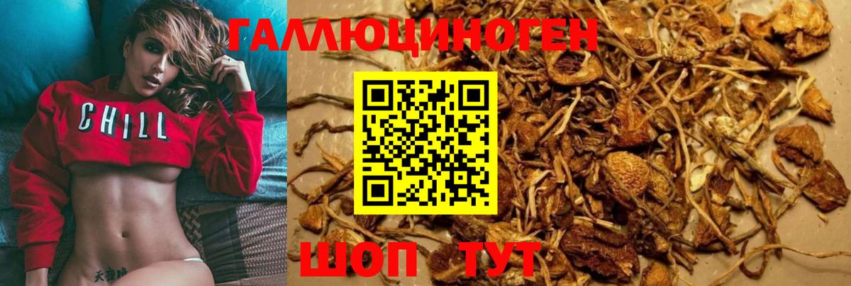 Псилоцибиновые грибы MAGIC MUSHROOMS Вольск