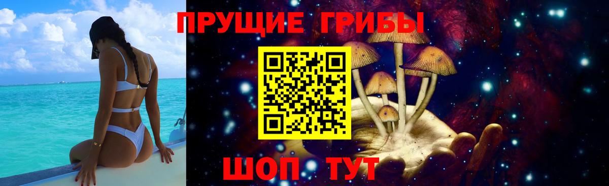 Вольск  закладки  Вход с VPN  Галлюциногенные грибы мицелий 