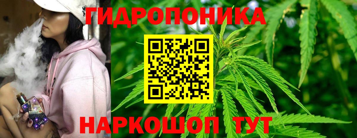Бошки Шишки OG Kush Вольск